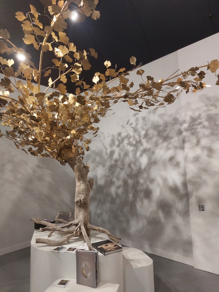 Ginkgo Arbre