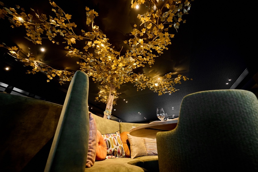 Arbre Lumineux sur Mesure 