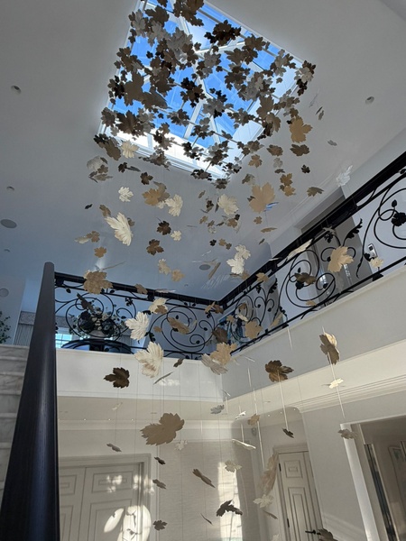 Pluie de feuilles