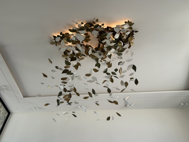 Pluie de feuilles