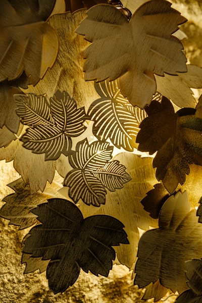 Detail vigne