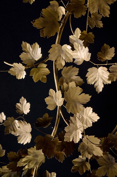 Branche d'arbre